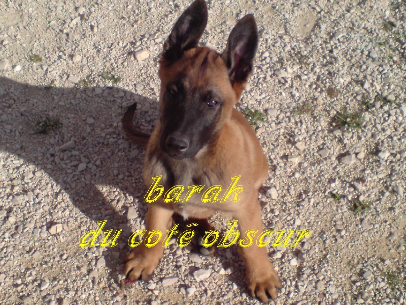 Barak du cote obscur