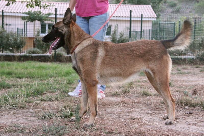 Elsa ii du cote obscur